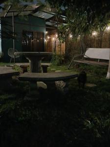 a cat standing in the grass near a bench at night at SJO Green Casita in Santiago Este +1 photo