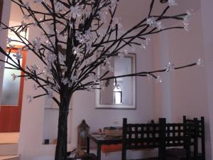 a tree with white flowers in a room at Apartamento Barbancho in Cáceres