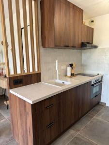 a kitchen with a sink and wooden cabinets at Appartement avec piscine in Uzès