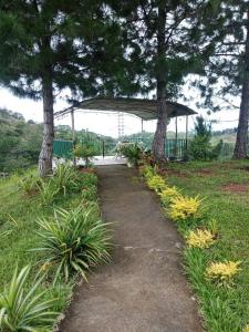 a path with trees and a pavilion in a park at Davao City-Marilog Peak Cafe- Traveler's Staycation in Davao City