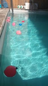 a swimming pool with frisbees in the water at Les deux arches in Caunes-Minervois