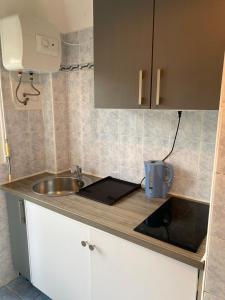 a small kitchen with a sink and a counter top at Appartement Flores in Nice