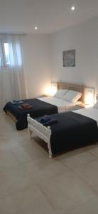 Fotografie z fotogalerie ubytování Anassa Studio Trikala v destinaci Tríkala