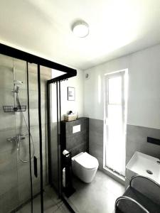 ein Badezimmer mit Toilette, Dusche und Waschbecken in der Unterkunft Ferienhaus Flora in Altefähr + 8 Fotos