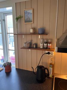 Kuchyň nebo kuchyňský kout v ubytování Charming Historic Home Your Ideal Tromsø Getaway