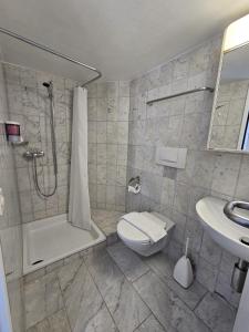 Vannituba majutusasutuses Hotel Surselva