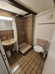 Vannituba majutusasutuses Hotel Surselva