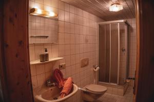 Koupelna v ubytování Haus Bergwind