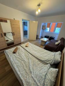 a bedroom with two beds and a large mirror at Affordable apartment close to the castle in Hunedoara