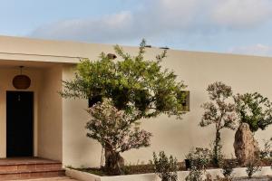 two trees in front of a building at TAIGA Almeria Playa in Palomares