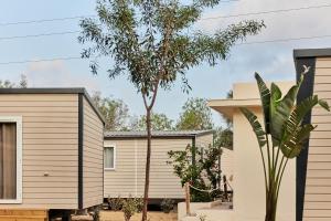 a modular home with a palm tree in front of it at TAIGA Almeria Playa in Palomares