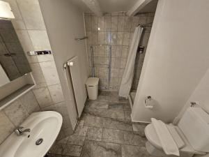 Vannituba majutusasutuses Hotel Surselva