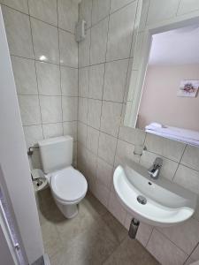 Vannituba majutusasutuses Hotel Surselva