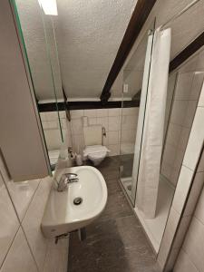 Vannituba majutusasutuses Hotel Surselva
