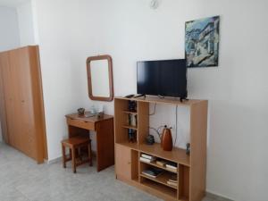 a living room with a television and a mirror at Studio Poseidon in Leipsoi