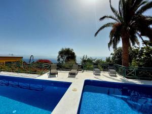 a swimming pool with chairs and a palm tree at Villa Asunción A in Breña Baja +24 photos