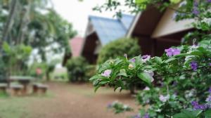 Zahrada ubytování Kiniman Home