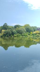 a body of water with trees in the background at Cosy oasis with a view in London