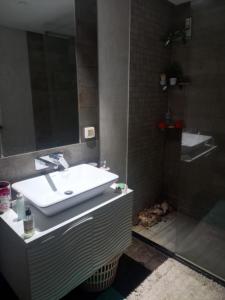 a bathroom with a sink and a shower at Appartement à louer à Hammamet nord, Tunisie in Hammamet Nord