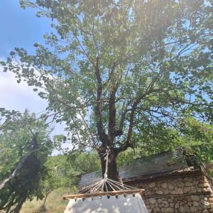 Foto dalla galleria di Revita Stone House a Elbasan