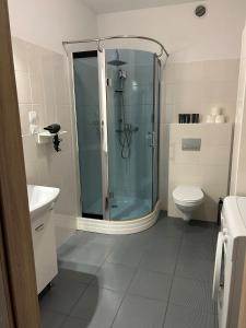 Kúpeľňa v ubytovaní H-T-L Apartamenty Junior