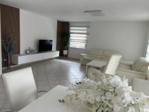 a living room with white furniture and a television at Neubau Schmidt 4 Zimmer KASSEL Premium Qualität keine Parkplatz gebühren in Lohfelden +5 photos