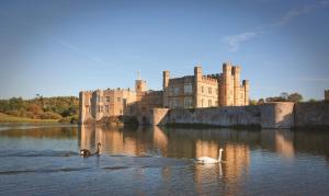 two swans in the water in front of a castle at Leeds Castle Lakeside Lodges in Broomfield