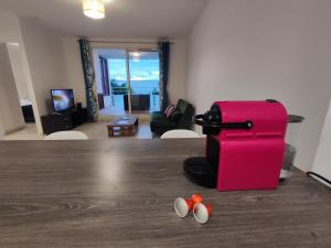 TV a/nebo společenská místnost v ubytování Le Nid Océanique ! Appart T2 avec Terrasse, Vue Mer et Parking Privé en Sous Sol, Proche du Centre Ville de Saint Gilles les Bains + 5 fotografií