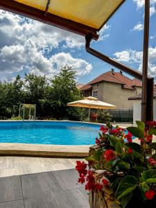 a swimming pool in front of a house at Pensiunea Vila Silva I in Haţeg