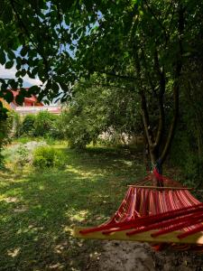 a red hammock under a tree in a yard at Pensiunea Vila Silva I in Haţeg