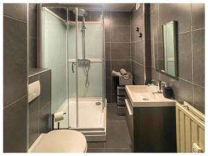 Un baño con ducha, inodoro y lavabo. en Entourage Christinastraat, en Ostende