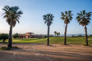 a group of palm trees in front of a house at Casa Cariño @ Hacienda del Alamo Golf resort in Fuente Alamo