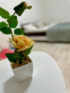a flower in a white vase on a table at Oly Apartment in Năvodari