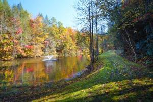 Naturlandskabet i nærheden af feriehuset