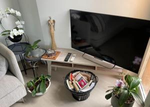 sala de estar con TV y mesa con plantas en LAUSANNE PULLY sunny apartment on lakeside street and direct bus to Lausanne train station, en Pully