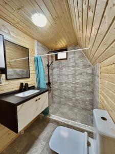 Koupelna v ubytování Cottage GORDA Kazbegi