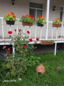 Giardino di guest house lela rezo