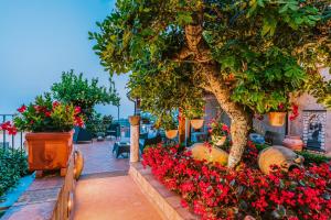 Zahrada ubytování B&B IL CORTILE