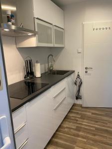 Η κουζίνα ή μικρή κουζίνα στο DC Room Birgit +3 φωτογραφίες