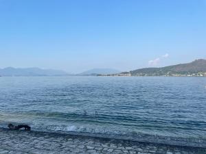 a dog standing in the water at a beach at Appartamento sul Lago - MEINA in Meina +7 photos