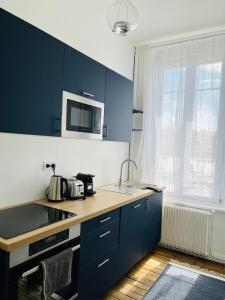 a kitchen with blue cabinets and a sink and a microwave at Appartement Porte Mars 1 Reims Arena gare centre in Reims