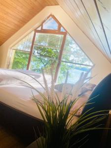 a window in a room with a bed and a plant at Jarski Domek in Stężyca