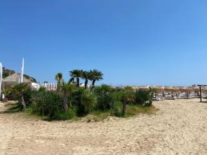 Fotografie z fotogalerie ubytování VS Private Studio A-C50 Sveti Vlas v destinaci Sveti Vlas + 29 fotografií