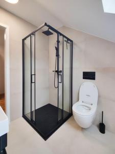 a bathroom with a toilet with a glass shower at Greg's House Apartments in Ljubljana