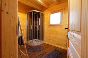 a bathroom with a shower in a wooden cabin at Chalet d'exception, spa et sauna, 4p in La Bresse +29 photos