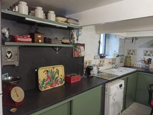 a kitchen with green cabinets and a counter top at Maison sur le causse du Quercy Lot 46 in Cremps +10 photos
