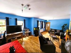 Μια τηλεόραση ή/και κέντρο ψυχαγωγίας στο Andante Guesthouse KENCARE LIMITED