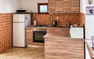 Kuchyň nebo kuchyňský kout v ubytování Apartment Vir Iii