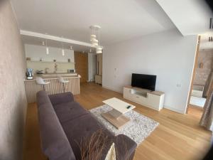 a living room with a couch and a tv at Apartament Alex S 405 Vogh Olimp in Olimp