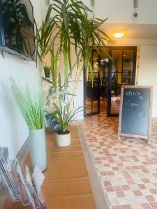 a lobby with two potted plants on a table at Equus B&B in Bredene